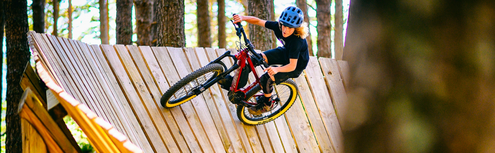 Junior best sale e bike